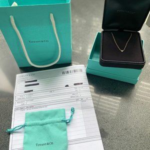 Tiffany & Co Diamonds by the Yard Single Diamond Pendant